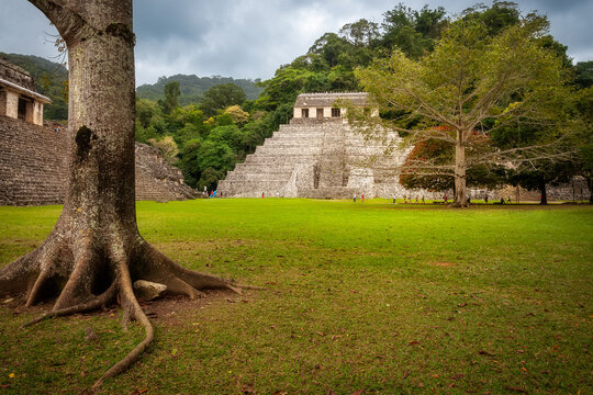 Low angle perspective view: the Ruins of an ancient Maya City-Palenque National Park, Chiapas Yucat&aacute;n, Mexico. The Temple of the Inscriptions is the largest funeral Pyramid from the classical period. 