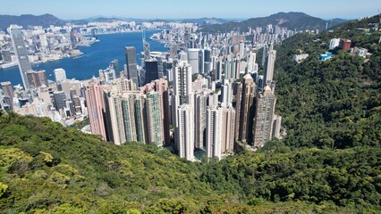 the peak view from the green suburb peak to the crowded city urban in hong kong with part of view of victoria harbour at day time - obrazy, fototapety, plakaty
