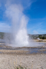 Sawmill Geyser erupts in Yellowstone National Park USA