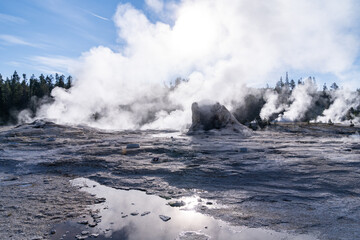 Giant Geyser in Yellowstone National Park