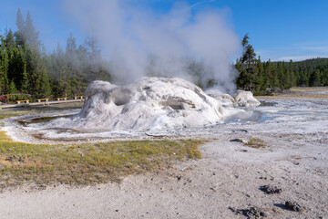 Grotto Geyser in Yellowstone National Park