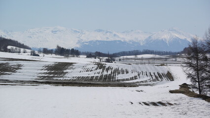 美瑛　大雪連峰