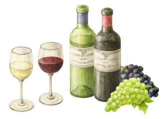 Fototapeta premium ワインとブドウ 手描き
