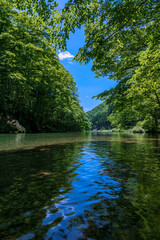 新緑の清流馬瀬川 高山市清見町