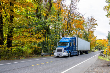 Fototapeta na wymiar Bright blue big rig semi truck with refrigerator semi trailer transporting cargo running on the autumn winding road with yellow forest