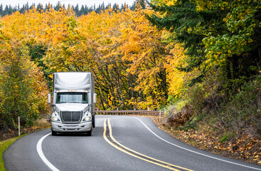 White professional industrial grade big rig semi truck transporting cargo in reefer semi trailer climbing uphill on the winding mountain road through the yellow autumn forest - obrazy, fototapety, plakaty