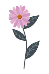 flower decoration icon