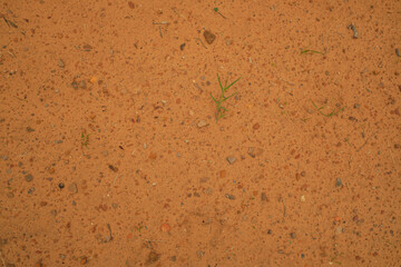 top view of dry red soil with few grass leaves and little rocks sprinkled about