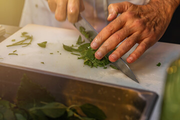 Close Up of the hands of a professional chef chopping fresh oregano