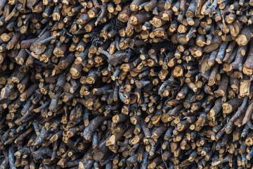 close-up sawn tree into small pieces. Background from sawn pieces of wood. Cuts of trees collected into a texture.