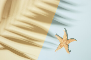 Fototapeta na wymiar Summer minimal background with shadow of palm tree leaf and starfish. Pastel colored aesthetic photography