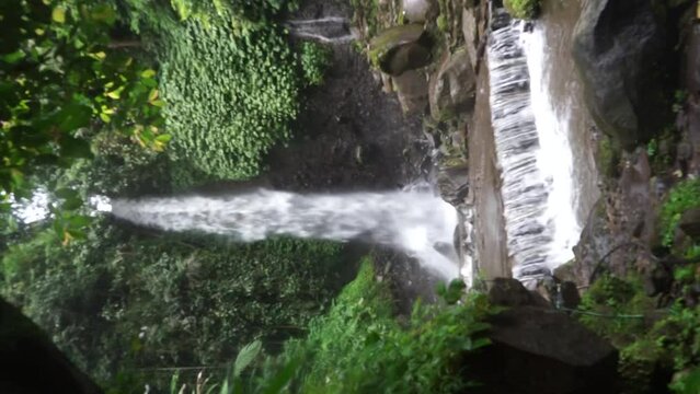 waterfall in the middle of the forest
