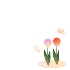 チューリップ　春　咲く　花
