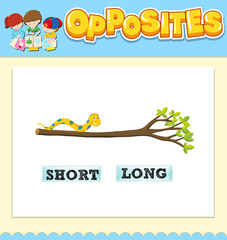 Opposite words for short and long