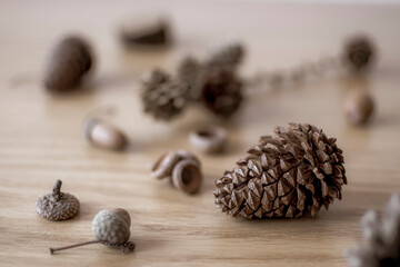 Fototapeta na wymiar Pine cone closeup on a table. Dark brown winter design, organic dried pinecone object, textured surface. Selective focus on the details, blurred background.