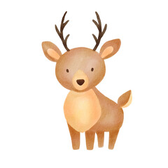 Watercolor illustration deer. Cute baby deer isolated on white background.