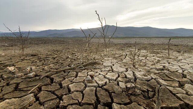 Climate Change, Dry mud and Cracked earth with dead plant, tree and marine animal at sunset background metaphor Drought affect, Water crisis and Global warming. Timelapse
