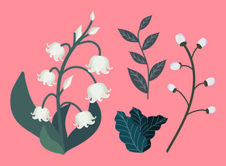 set flowers and leaf