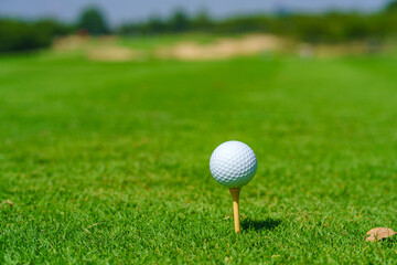 Golf ball on tee ready to be shot at golfcourt