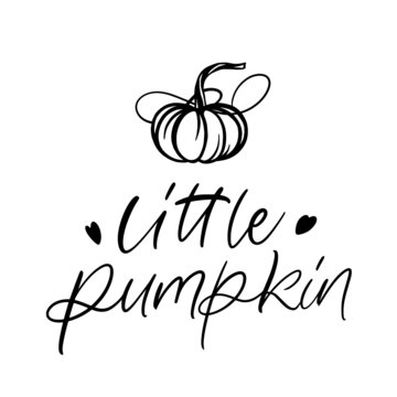 little pampkin