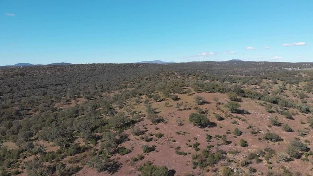 Aerial images flying over a Mediterranean forest in southern Spain on a sunny day. It goes over a small hill.