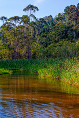 Lac et paysage dans le centre-est de Madagascar