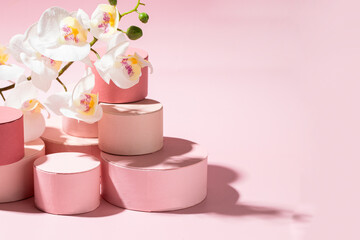 Minimalist giving concept. Different round  gift boxes  and orchid flower on pink background with hard light.