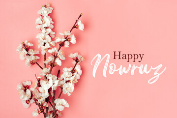 Sprigs of the apricot tree with flowers on pink background Text Happy Nowruz Holiday Concept of...