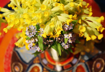 Bouquet of spring flowers. Forget-me-not and primula plants. 