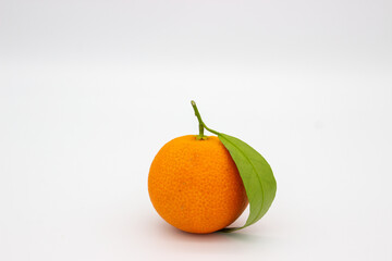 One mandarin with green leaf on white background.