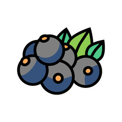 currant berry color icon vector. currant berry sign. isolated symbol illustration
