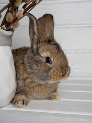 A small gray rabbit is a symbol of the Easter holiday on a light wooden background
