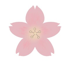 パステルカラーで優しい色合いのさくらイラスト