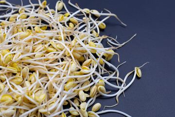 Fresh soybean sprouts for cooking.