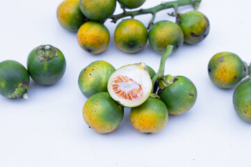 Betel nuts on white background.