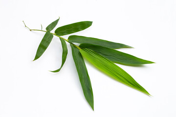 Bamboo leaves on white background.