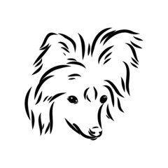 Decorative portrait of standing in profile Chinese Crested Dog, vector isolated illustration in black color on white background