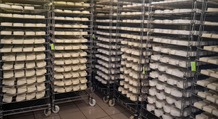 product of Neufchatel cheese, normandy, France