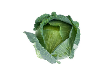Cabbage vegetables isolated on white background.