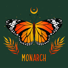 Monarch butterfly. Hand drawn vector illustration.