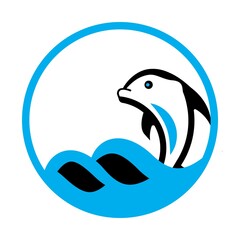 Obraz premium dolphin jump