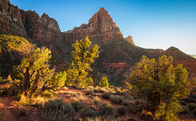 Sunset on the Watchman, Zion National Park, Utah