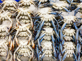 Oman Crabs at The Waterfront Market, Dubai, UAE