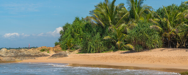 The shore of the beach at Bentota with green palm trees, Indian Ocean, Sri Lanka