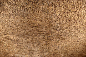 Texture of scratched wood material. Color pattern. Abstract background