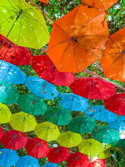 Umbrellas at The Miracle Garden in Dubai, UAE