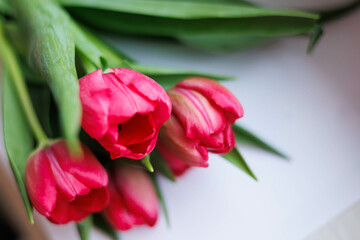 Bucket of red tulips close up 