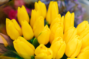 bouquets of yellow tulips viewed from above. sale of flowers and bouquets. floristry and making bouquets to order. international women's day. mother's day. valentine's day 