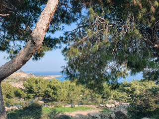 sea view from the mountains, forest in mountains 