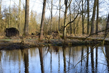 Landschaft im Winter am Fluss Böhme in der Stadt Walsrode, Niedersachsen
